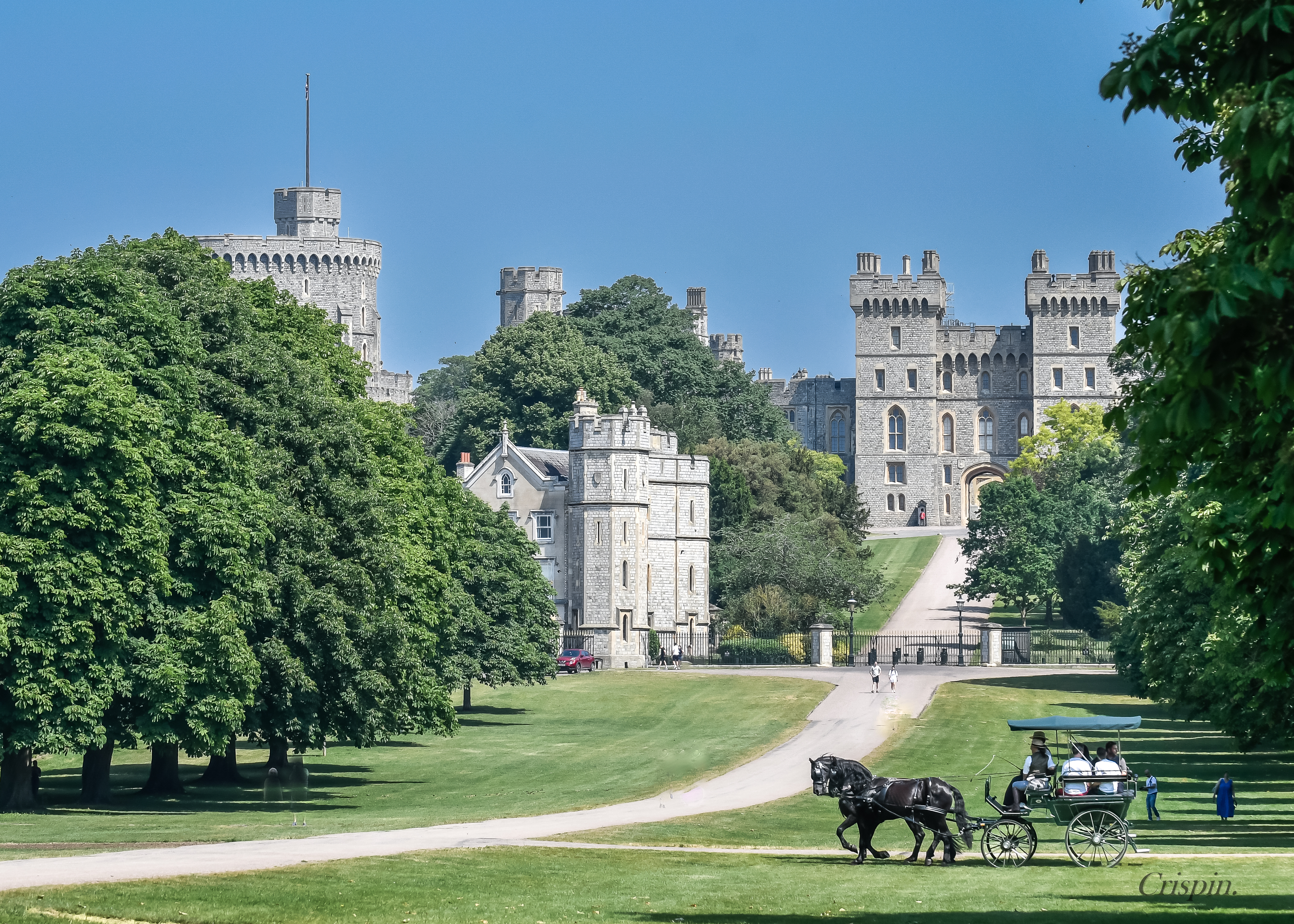 Windsor Carriages